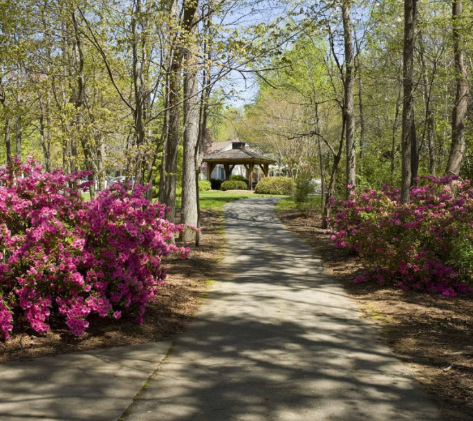 Davidson College Arboretum, United States